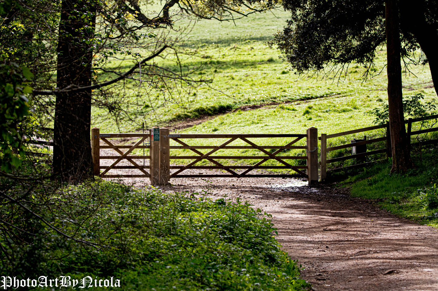 English Country Gates