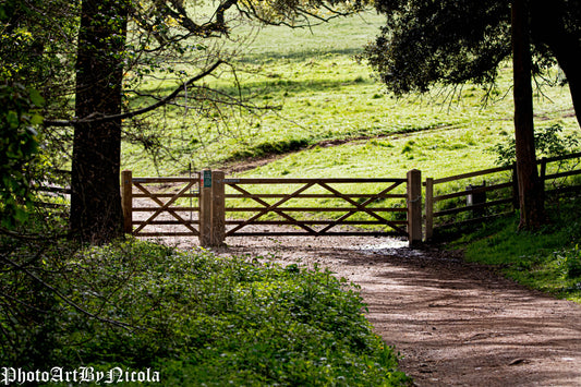 English Country Gates