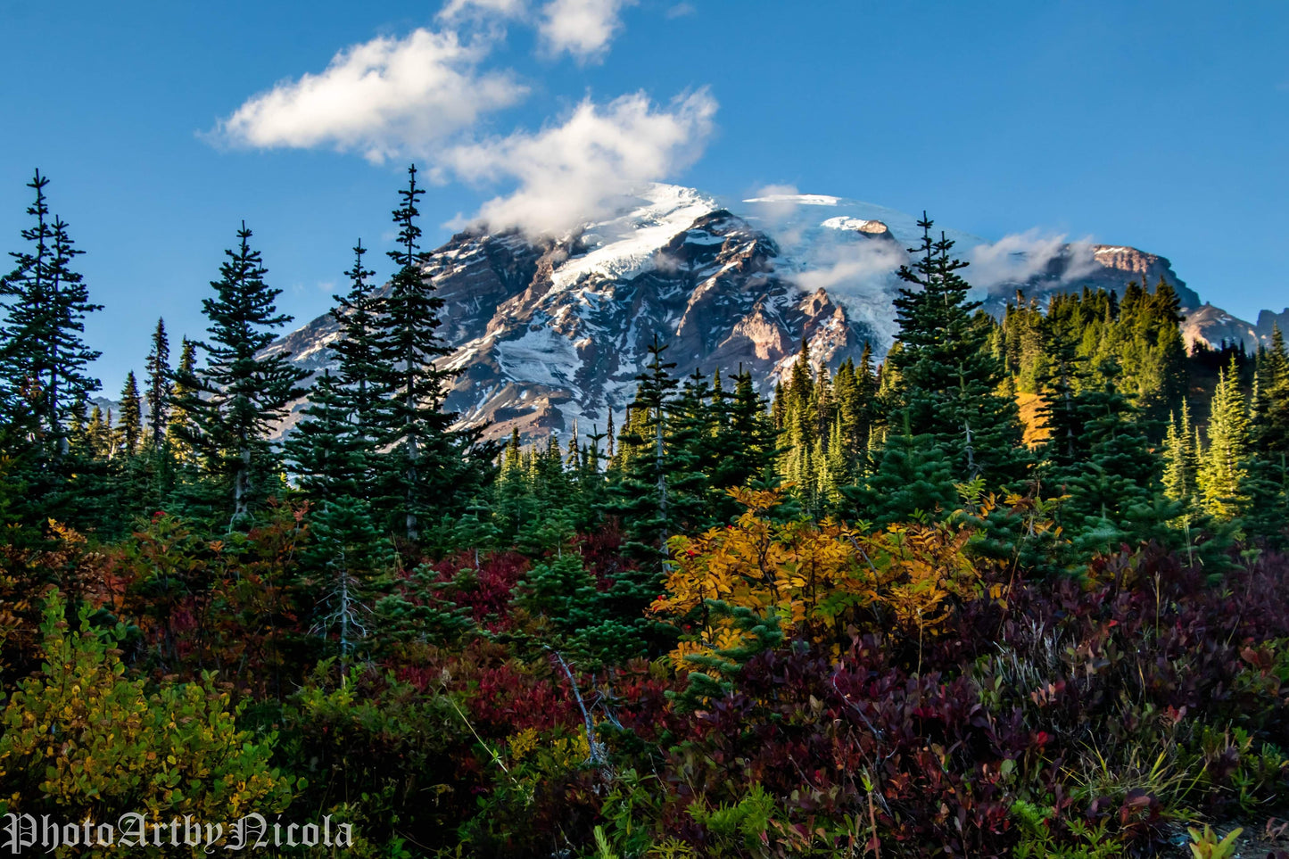Mt Rainier Dressed In Fall Foliage